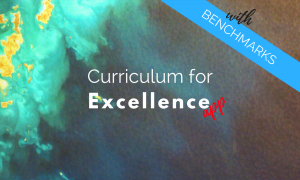 Curriculum For Excellence With Benchmarks App – CfEApp Co Uk – CfE App